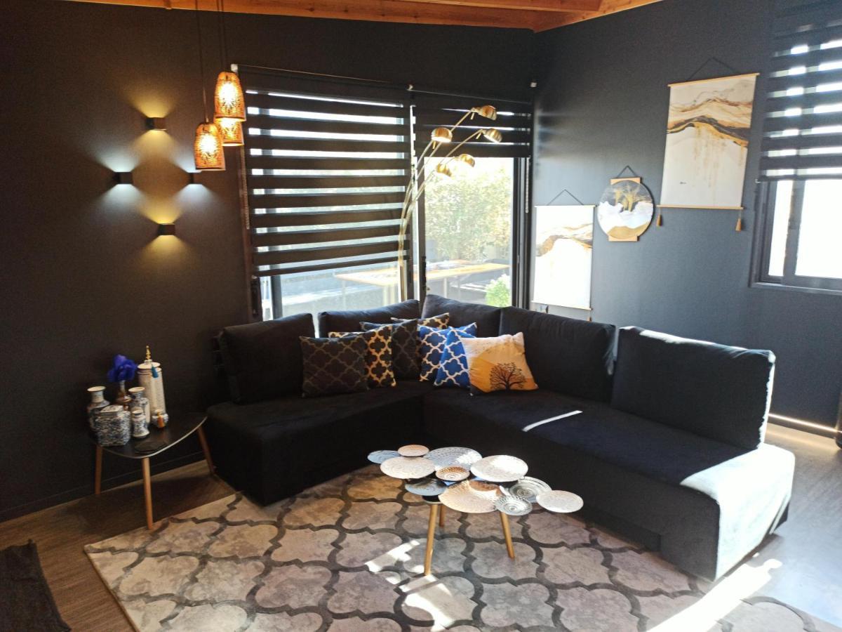 Villa Accessible Luxury Artemida  Exterior foto